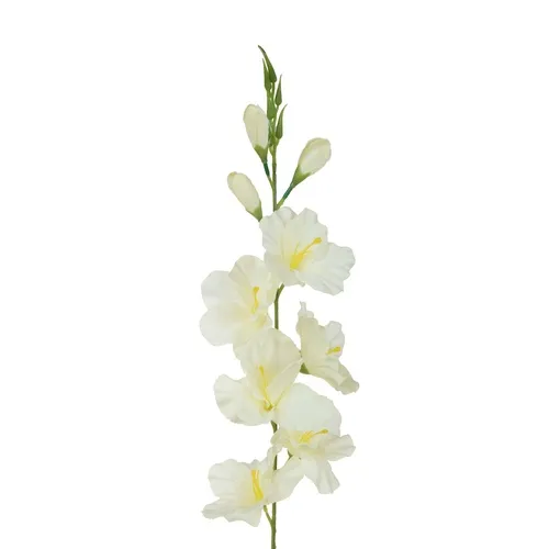 Gladiolus – vetvička 77 cm cream K321